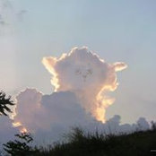 Fanny Huart's photo