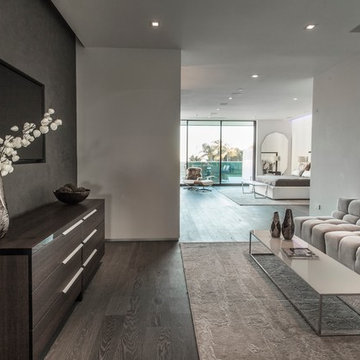 Swallow