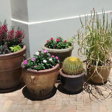 Colorful Summer Planters
