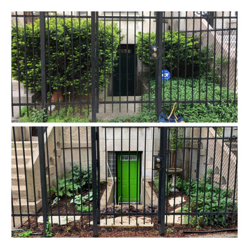 Before and After Pictures