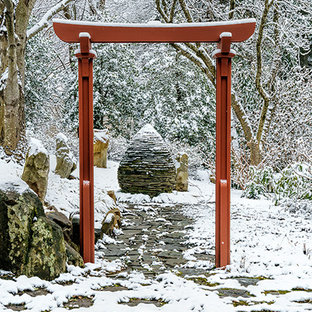 Großer, Halbschattiger Eklektischer Garten im Sommer, hinter dem Haus mit Betonplatten in Washington, D.C.