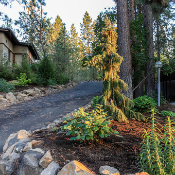 South Hill Passive House