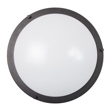 Flush Mount