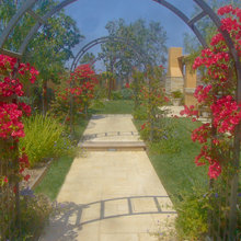 yard