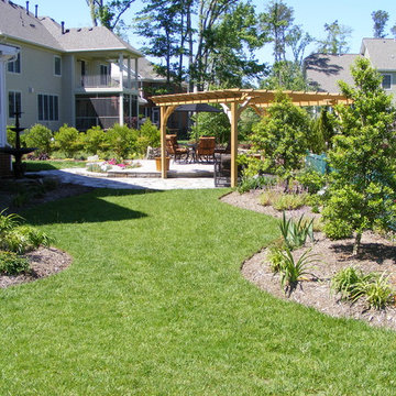 New Home, Backyard from scratch