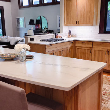 Bianco Superiore Quartzite Kitcheb