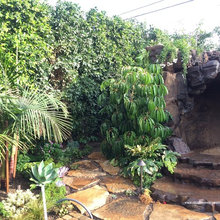pool landscape ideas