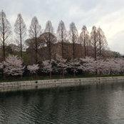E-Lyn Chew's photo