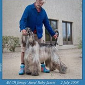 John Morton's photo