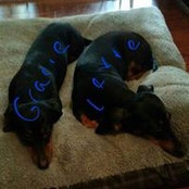 Tamie Busbee's photo