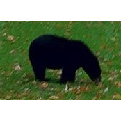 Carmen Cavezza's photo