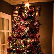 Karina Richardson's photo