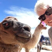 Donna Chapman's photo