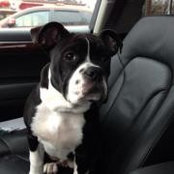 Steven Hyman's photo