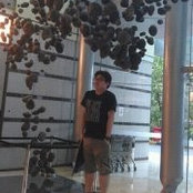 Ng Lims foto