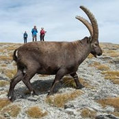 Daniel Hue's photo