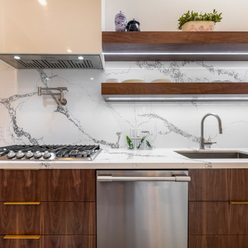 Toronto Whole House Remodel