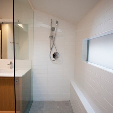 Sylvan Highlands Mid-Century Remodel