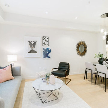 Living Room - Contemporary