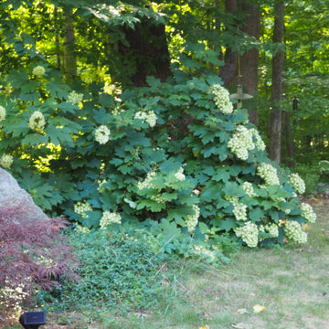 East Haddam Residence