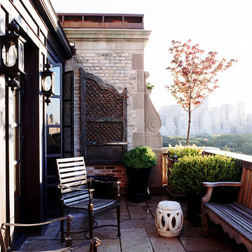 Central Park Aerie