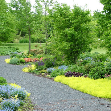 Deer Resistant Garden