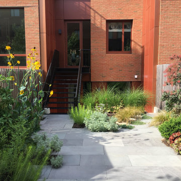 Modern Garden with Curved Corten Border