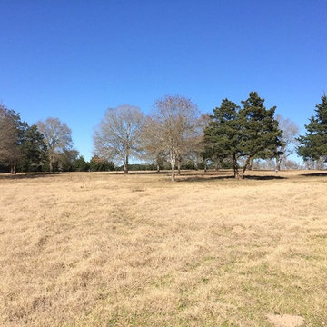 Copelyn Clearing/Clean Up