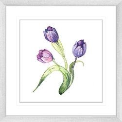 Botanicals - Framed Art Prints (WB01) - Artwork