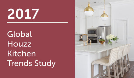 2017 Global Houzz Kitchen Trends Study