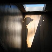 Judy Fredrichs's photo
