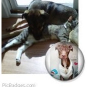 Sharon Simmons's photo