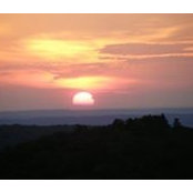 Julia Brazsanyiv's photo