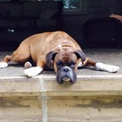 Laurie Toth's photo