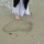 Kimberly Polman
