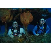 Foto de Andi Wise