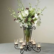 Silvia Popa's photo