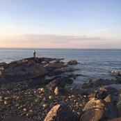 David Craig's photo