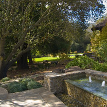 water feature