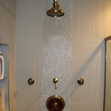 Transitional Bathroom Remodel