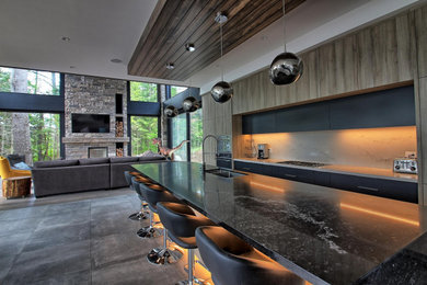 Kitchen - contemporary kitchen idea in Toronto
