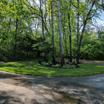Wooded Lot Landscape Renovation