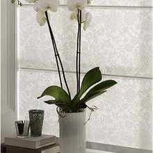 Transform with Transluscent Roman Shades