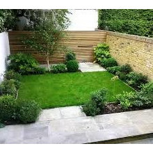 garden wall