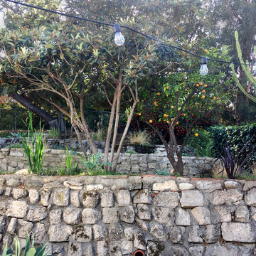Ancient Walls Aesthetic