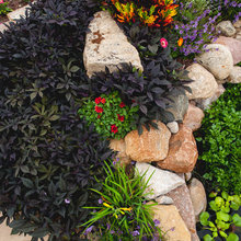 Exterior Ideas