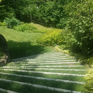 A Gardener's Gem in the Neighborhood