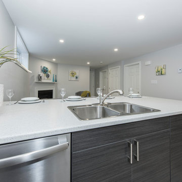 Glenview Heights Basement Apartment Conversion and Whole House Renovation