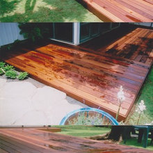 back yard