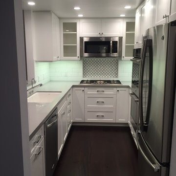 West LA Condo Remodel